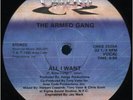 The Armed Gang - All I Want (Vinyl 12