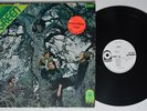GREEN Self-Titled ATCO LP VG+ wlp PROMO RARE 1969 garage psych acid archives