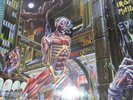 IRON MAIDEN. SOMEWHERE IN TIME. EXCL AS NEW COND. ESTATE DOUBLE