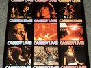 DAVID CASSIDY 