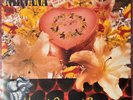 Nirvana Heart-Shaped Box w/Picture Cover 7