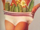 White Denim - Stiff (Black Vinyl Lp 2016, Includes Cd Album)