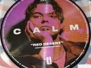 5 Seconds Of Summer – Calm ASHTON REMIX VINYL PICTURE DISC 2020 5sos
