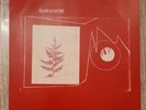 Pink Floyd Survivor Vinyl Lp Record