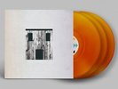 SESSION VICTIM The Haunted House Of House 3x LP NEW COLORED VINYL Delusions Of