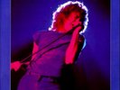 Led Zeppelin - Live  1980 - 3 LP