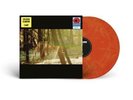 Childish Gambino Camp Bonfire Red Vinyl 2x LP 2022 Kanye Chance SEALED -IN HAND