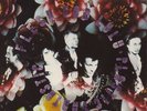 Flesh For Lulu Plastic Fantastic US Lp