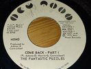 The Fantastic Puzzles - Come Back Part 1 - Mono/Stereo PROMO Northern Soul 45 7
