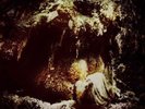 WOLVES IN THE THRONE ROOM-Celestial Lineage 2LP (2011, BLOOD RED VINYL, BLACK M)