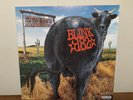 Blink 182 Dude Ranch 180g Vinyl 12” Black - Gatefold Record