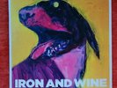 *RARE* Iron and Wine - The Shepherd's Dog (Vinyl LP, 2007 Sub Pop) 1st Pressing