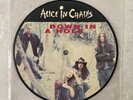 Alice In Chains - Dirt - 45 RPM Picture Disc - 7