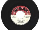 T BIRD EXPERIENCE - ROOTS IN ROOTS - DUB - 7''