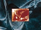 Dire Straits - On Every Street vinyl LP NEW/SEALED IN STOCK