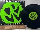 Pennywise - All Or Nothing Vinyl LP Black