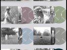 TAYLOR SWIFT Folklore LP Set of 8 WEB EXCLUSIVE COLOR VINYL EDITIONS New SEALED