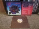 THIN LIZZY - BLACK ROSE, ORIGINAL UK VERTIGO VG+  LYNOTT, GARY MOORE