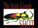 Jesus Lizard - Shot - Black friday RSD 2022  Record Store Day