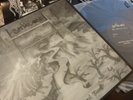 SATYRICON DARK MEDIEVAL TIMES VINYL RECORD SUPER RARE