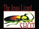 Jesus Lizard - Shot - Black friday RSD 2022  Record Store Day