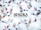 SPARKS - Hello Young Lovers 2-LP New SEALED 180G vinyl