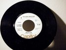 THE BEATLES 7 Inch 45 Helter Skelter Mono_Stereo 1976 Capitol promo
