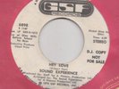 SWEET / NORTHERN / FUNK - SOUND EXPERIENCE -- HEY LOVE / EVERYTHING IS BEAUTIFUL