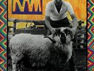 Paul & Linda McCartney 