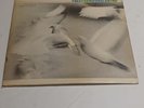 Donald Byrd Free Form 1st Mono NY Blue Note LP Herbie Hancock Vinyl