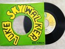 2 Live Crew Move Somethin' 45 RPM 7