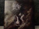 LINKIN PARK - THE HUNTING PARTY  (VINYL / SCHALLPLATTE) * WIE NEU *