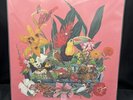 MONSTER RALLY Castaways Vol 1 Strawberry Melon Splatter 2xLP Vinyl LE x/200 NEW
