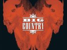 BIG COUNTRY - THE BUFFALO SKINNERS [DELUXE DOUBLE VINYL LP] 8 - NEW & SEALED