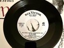 ELVIS PRESLEY RARE I LL BE BACK SPINOUT WHITE LABEL PROMO 45 NEAR MINT
