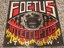 FOETUS INTERRUPTUS THAW VINYL WITH INSERT SELF IMMOLATION RECORD WOMB FIP 5 SOME