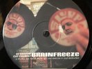 DJ SHADOW CUT CHEMIST BRAINFREEZE LP V-SD 1001 RARE BREAKS