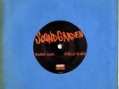 Soundgarden SUPER RARE ORIGINAL BLUE VINYL 7