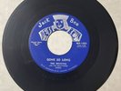 The Invictas 1959 DOO WOP 45 Gone So Long / Nellie JACK BEE Label VG+++ HEAR