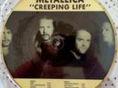 Metallica Creeping Life LP vinile PICTURE DISC
