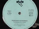Renegade Soundwave - The Phantom (It's In There) / Ozone Breakdown (12