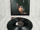 MODERN ENGLISH MESH & LACE LP 1981 Canada IMPORT LP POST PUNK NEW WAVE EX