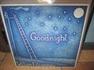 WILLIAM FITZSIMMONS goodnight LP Vinyl