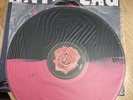 Anti Flag American Spring Vinyl lim Edition pink/black Split nur 1000