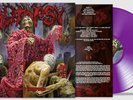 Autopsy - Morbidity Triumphant LP Limited Edition NEU Violet Vinyl