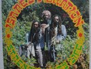 Israel Vibration – Strength Of My Life * Roots Reggae * VINYL * Original LP