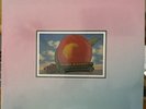 The Allman Brothers Band Eat A Peach Limited Edition 2 LP Colored Vinyl NM/NM