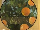 LANA DEL REY: VIOLET BENT BACKWARDS OVER THE GRASS LP Vinyl Picture Disc Ltd Ed