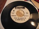 WRONGH BLACK BAG wake me shake me MAINSTREAM WLP rare FUZZ GARAGE PSYCH fem vox