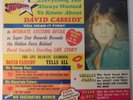 SEALED 1972 LP Everything You Always Wanted to Know About David Cassidy SSR-203